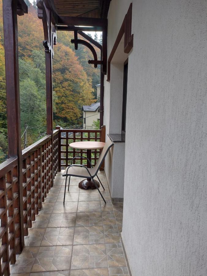 Pensiunea Steinhaus Slănic-Moldova Zewnętrze zdjęcie